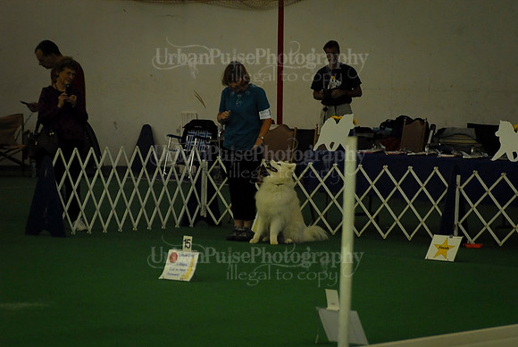 Rally-2326