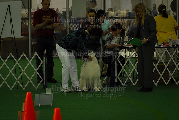 Rally-2328