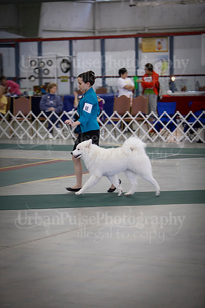 B12-18-7552