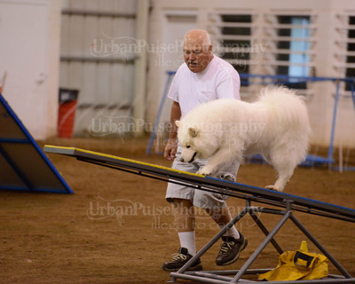 SCA2016_AG MON FAST NOVICE-3523