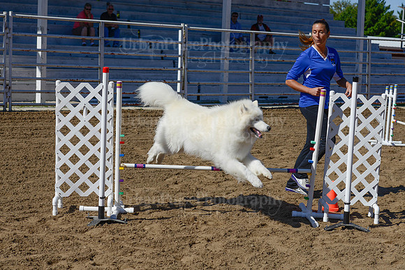 AGILITY-2218