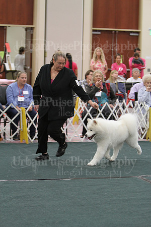 D BOB GR4-3977 2014 SCA National
