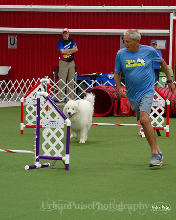 AGILITY_9509