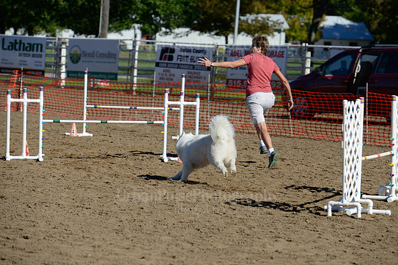 AGILITY-1958