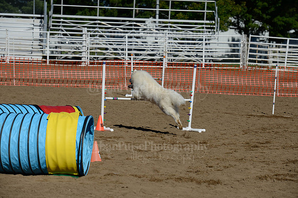 AGILITY-2036