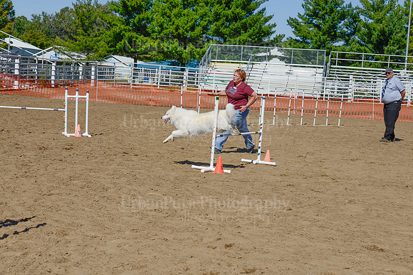 AGILITY-2331