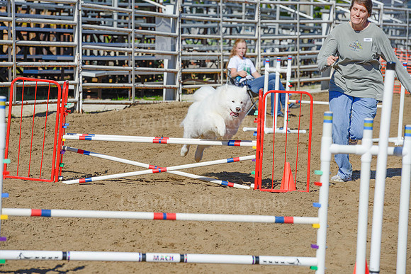 AGILITY-2177