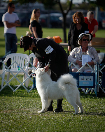 BREED_Finals-8484