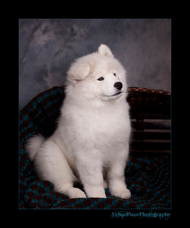 GreenBoy_10wks_web_0632