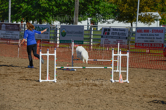 AGILITY-2127