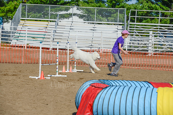 AGILITY-2190