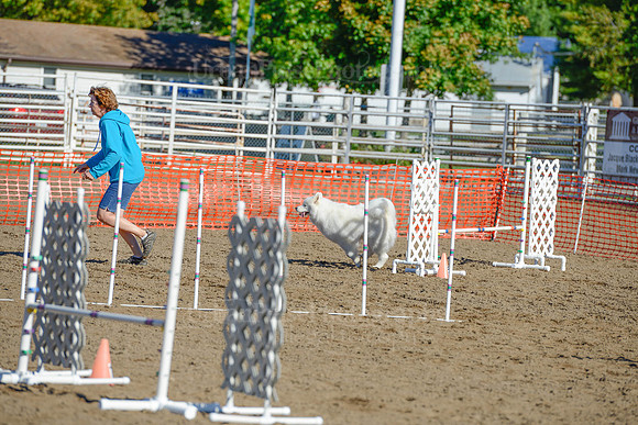 AGILITY-1870