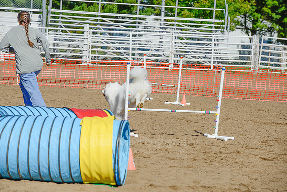 AGILITY-2174