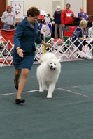 PUPPY DOG 9-12