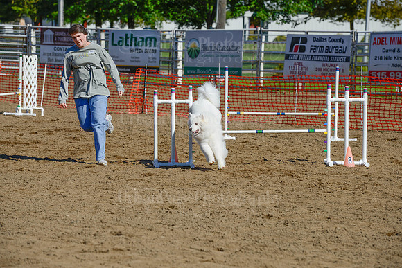 AGILITY-2170
