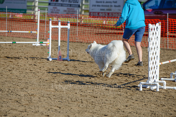 AGILITY-1865