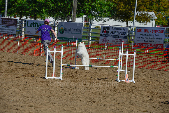 AGILITY-2183
