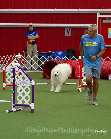 AGILITY_9508
