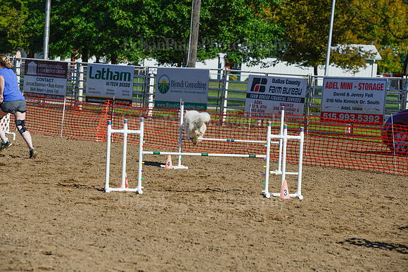 AGILITY-2020