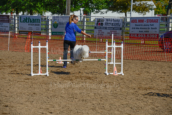 AGILITY-2125