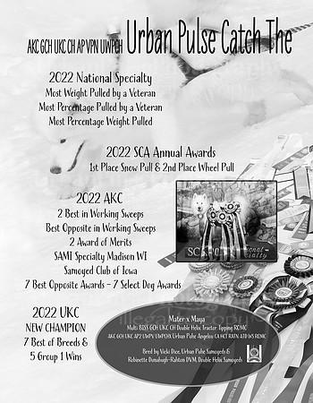 D-MIN 2022 AD left side