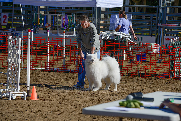AGILITY-2154