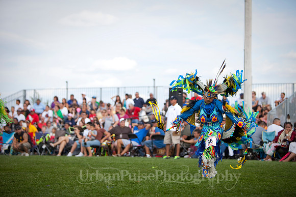 Wacipi_2011-2392