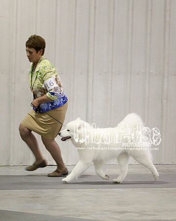Fargo_2011-4503