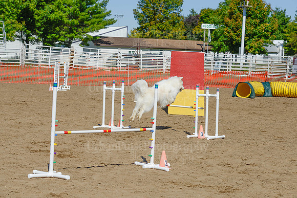 AGILITY-2363
