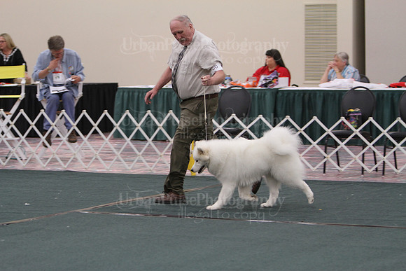 F9-12 Dog-7074