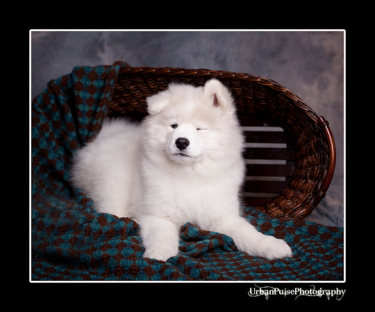 GreenBoy_10wks_web_0617