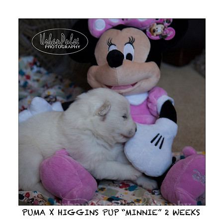 MINNIE_2WEEKS_3426