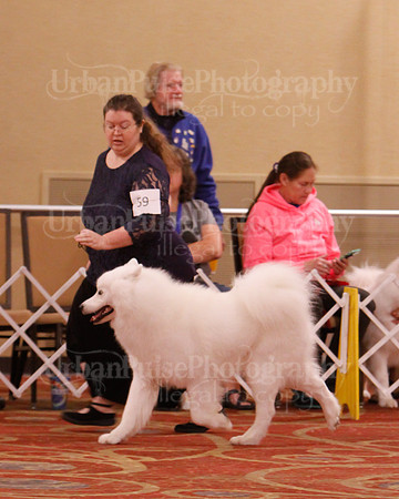 SCA2019 D BRED BY-9598