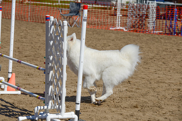 AGILITY-2408