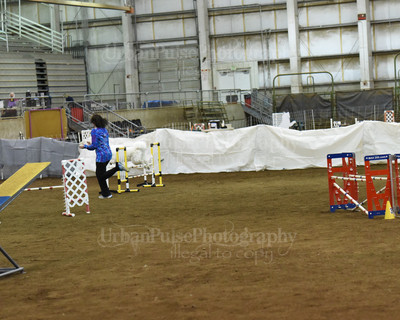 SCA2016_AG MON FAST NOVICE-0094