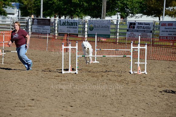 AGILITY-2005