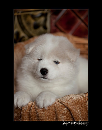 Keats_6weeks_0236