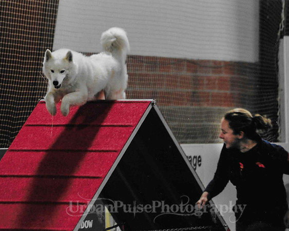 HEX AGILITY SCA2017