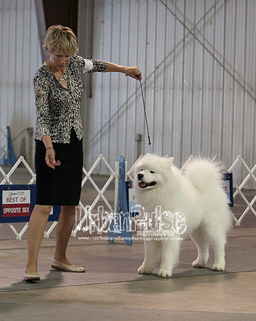 Fargo_2011-3868