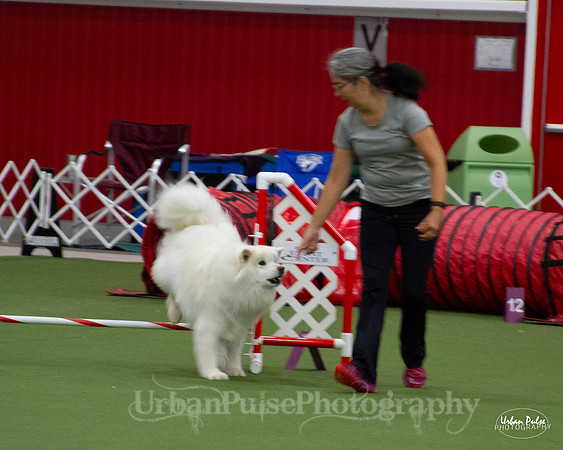 AGILITY_9437