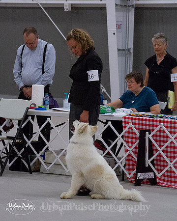 HEX SCA 2018_9532