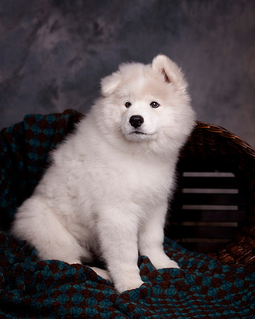 GreenBoy_10wks_16x20_0618
