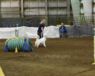 SCA2016_AG MON FAST NOVICE-0086