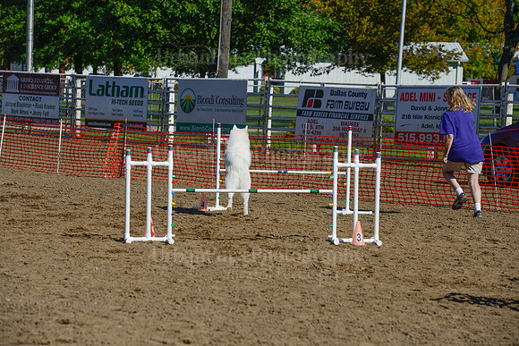 AGILITY-2074