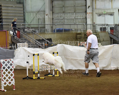 SCA2016_AG MON FAST NOVICE-0063