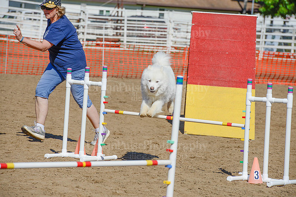 AGILITY-2282