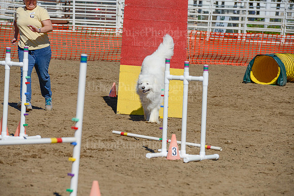 AGILITY-2379