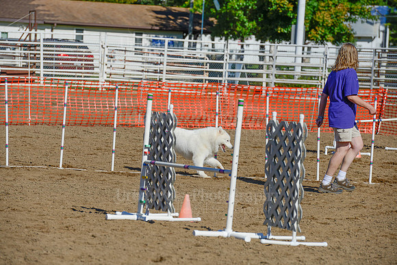 AGILITY-2085