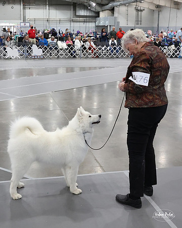 2020 SCA BEST IN JR SWPS-6489
