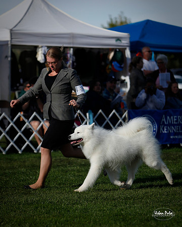 BREED_DG1-2539_10